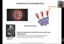 Webinar: Reflections on Chemistry and Biology in the Age of the Coronavirus by Professor P. Balaram Webinar: Reflections on Chemistry and Biology in the Age of the Coronavirus by Professor P. Balaram